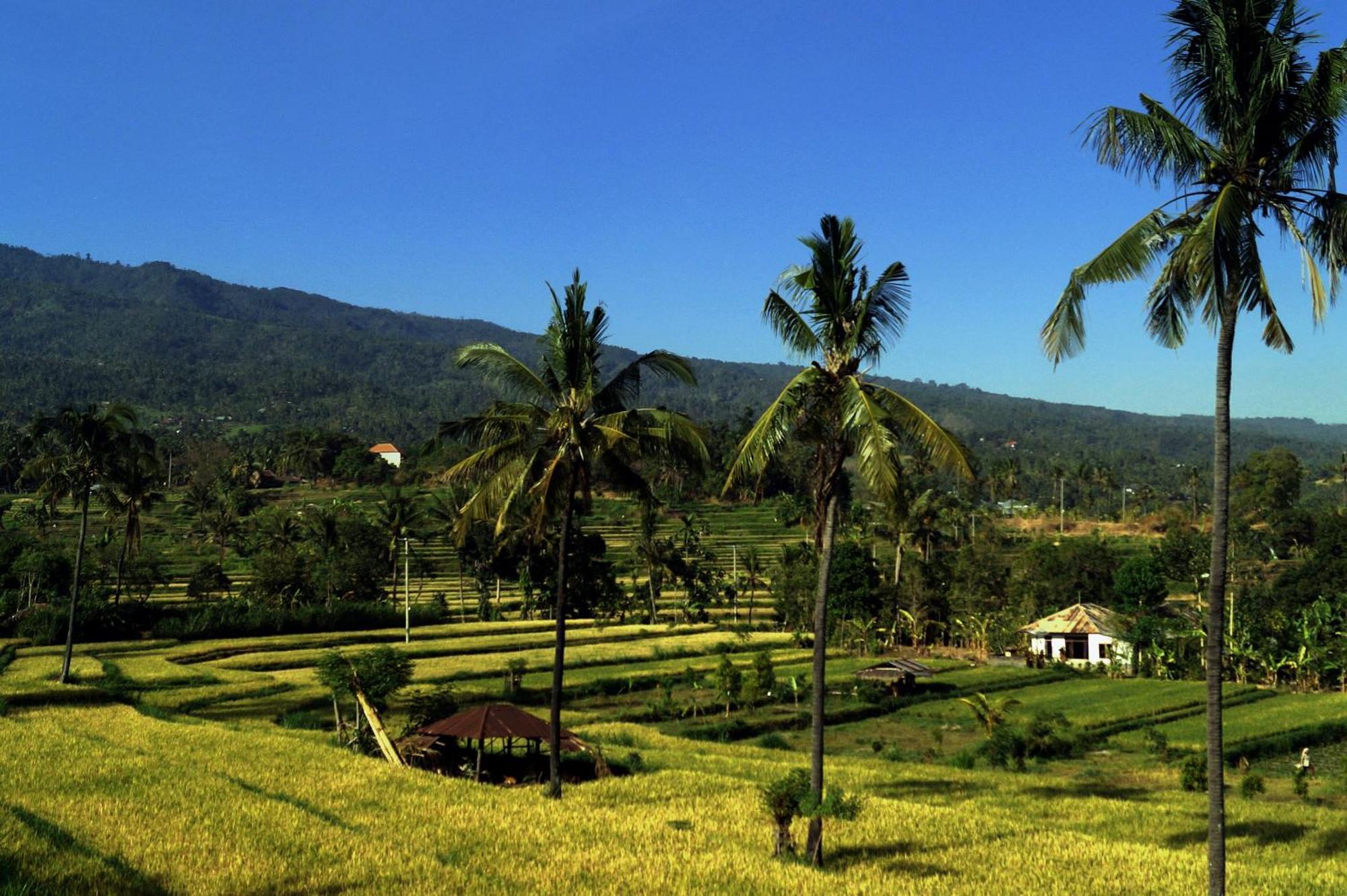 Lafyu Bali Hotel Singaraja Exterior foto