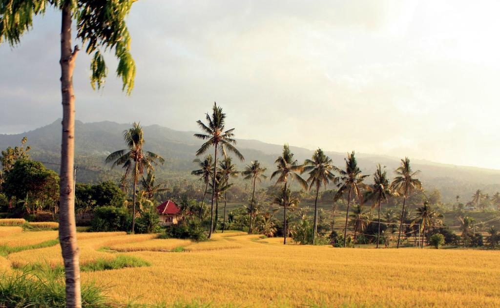 Lafyu Bali Hotel Singaraja Exterior foto