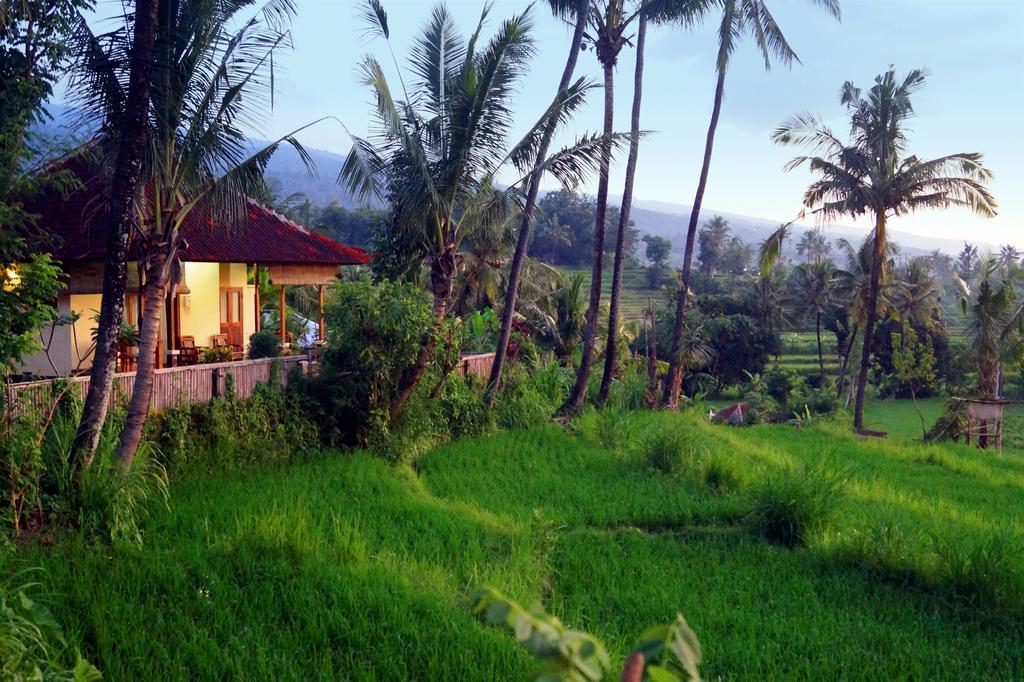 Lafyu Bali Hotel Singaraja Exterior foto