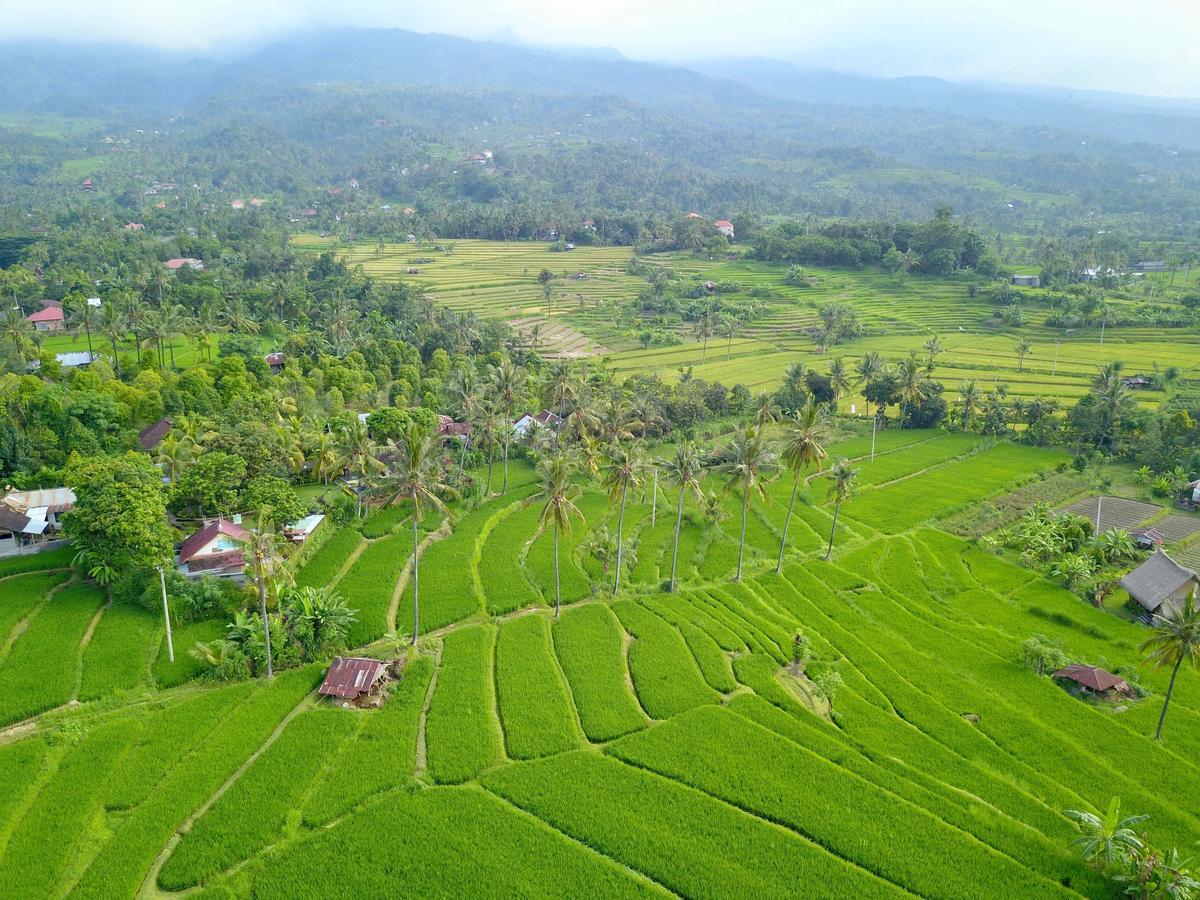 Lafyu Bali Hotel Singaraja Exterior foto
